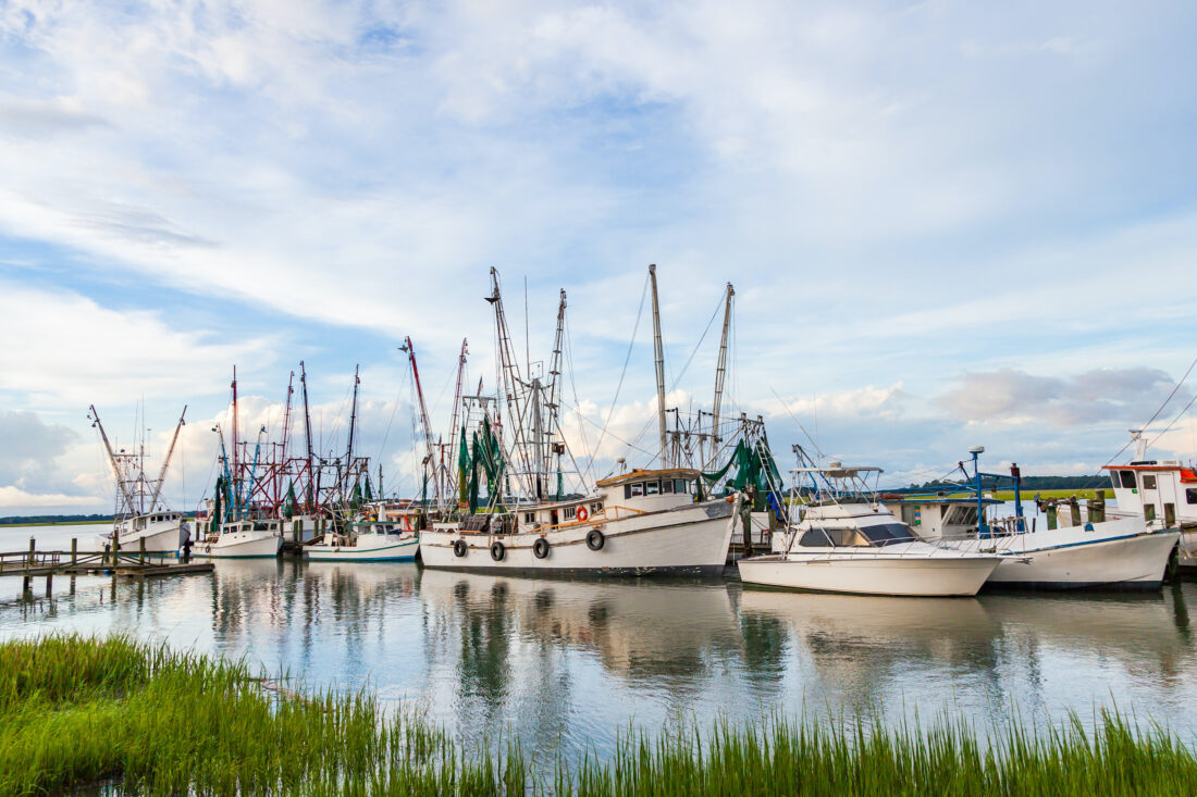 Shrimp boats on the water