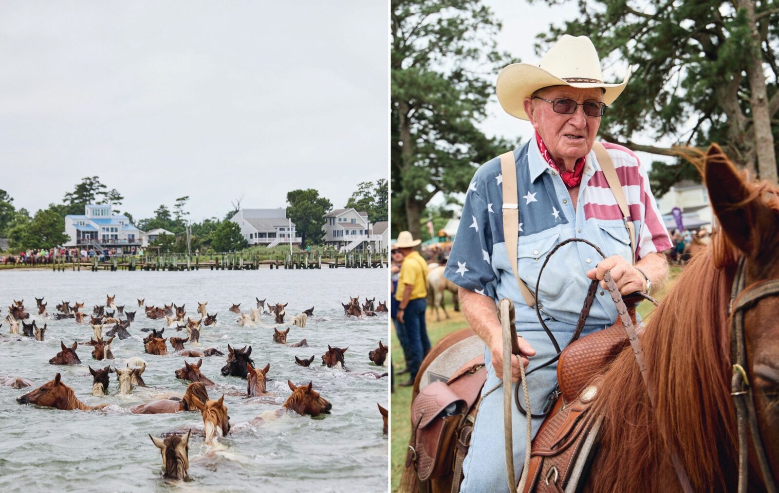 Ponies swim across water; a portrait of a man on a horse