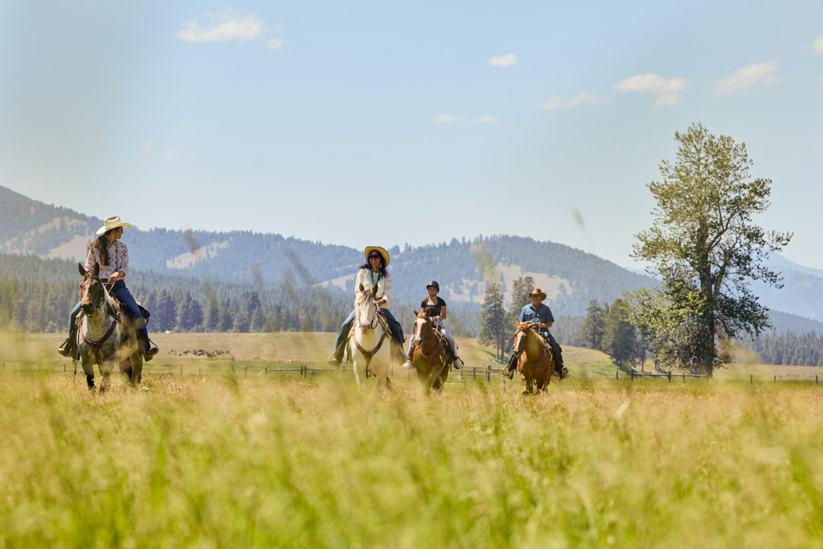 People ride horses in a field with mountains