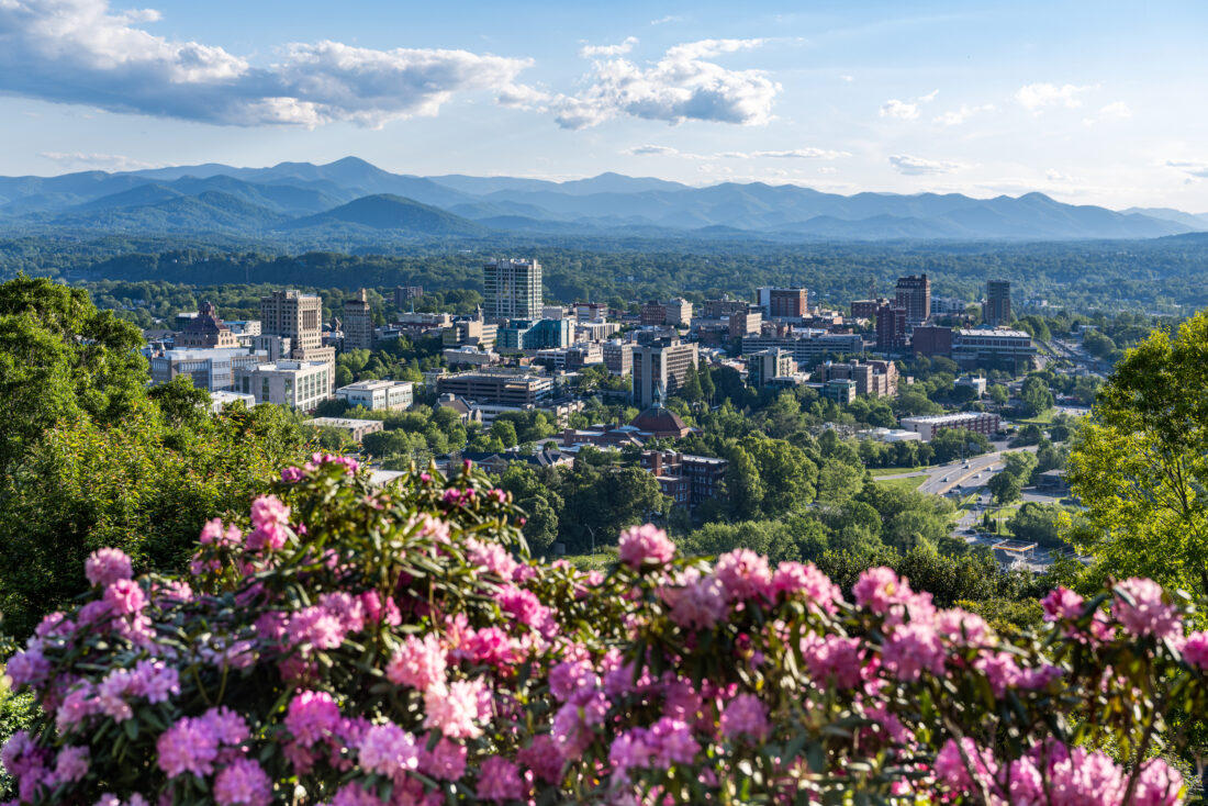 A city landscape in the mountains with pink flowers in bloom in the forefront