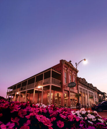 A bookstore at dusk with pink flowers in front of it