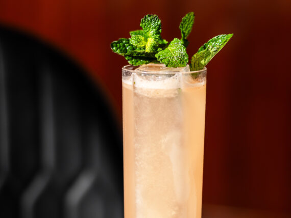A light orange cocktail in a highball glass