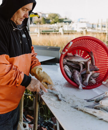 a fisherman scales croaker