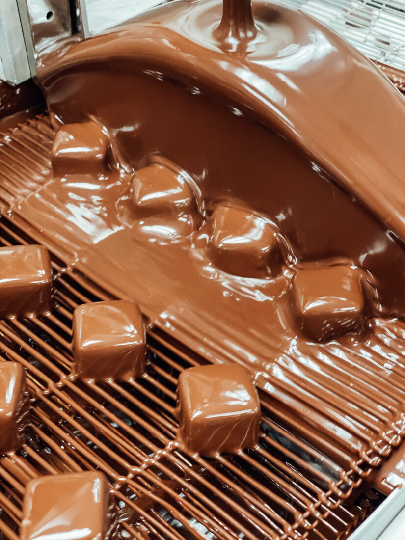 Chocolates on a conveyor belt