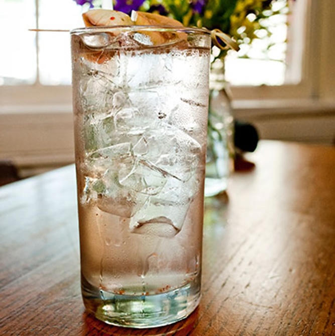 green tomato gin and tonic