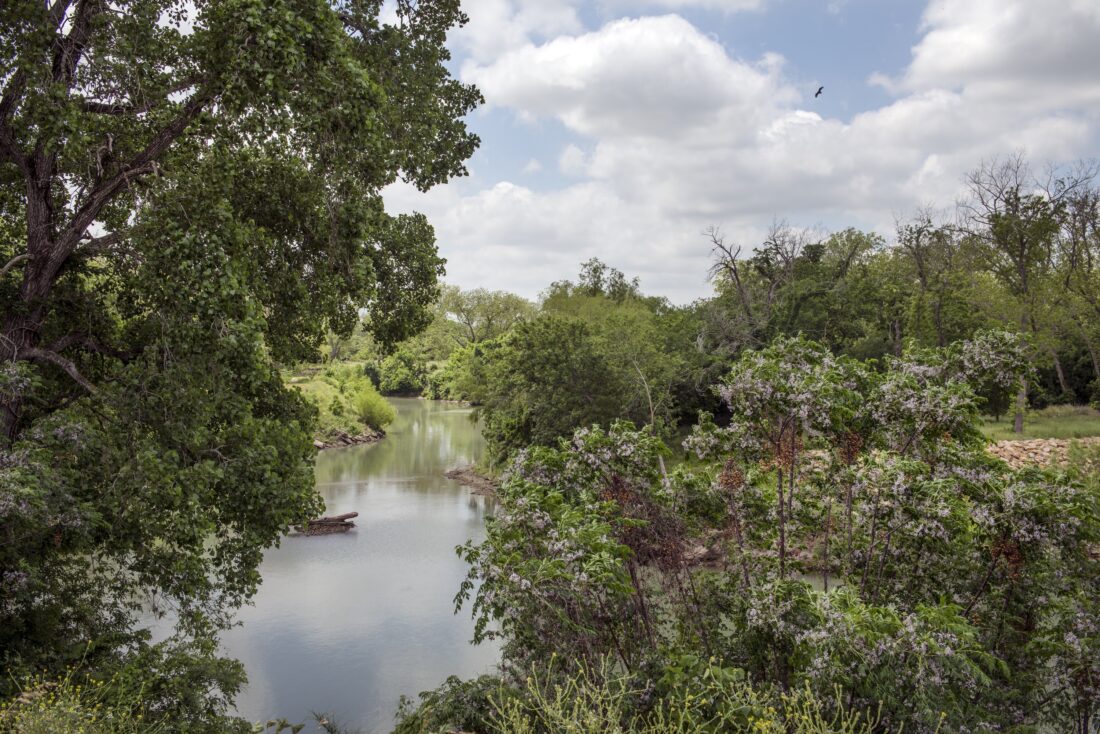 A river flanked by plants