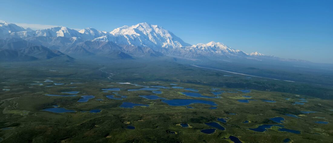 mount denali