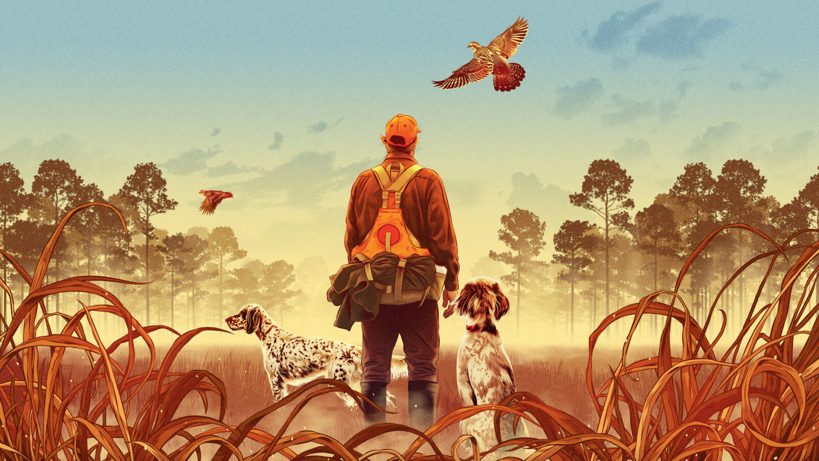 An illustration of a hunter in a quail field with two spotted dogs