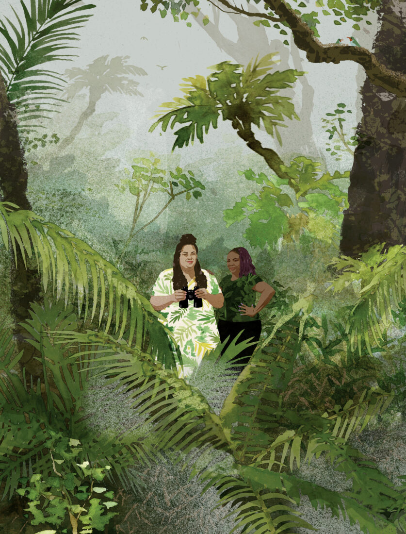 An illustration of two women standing in a foggy rainforest