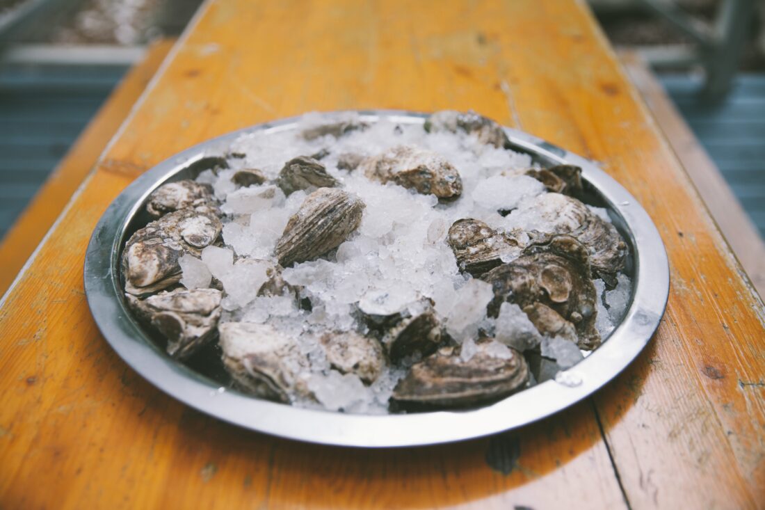 a plate of oysters