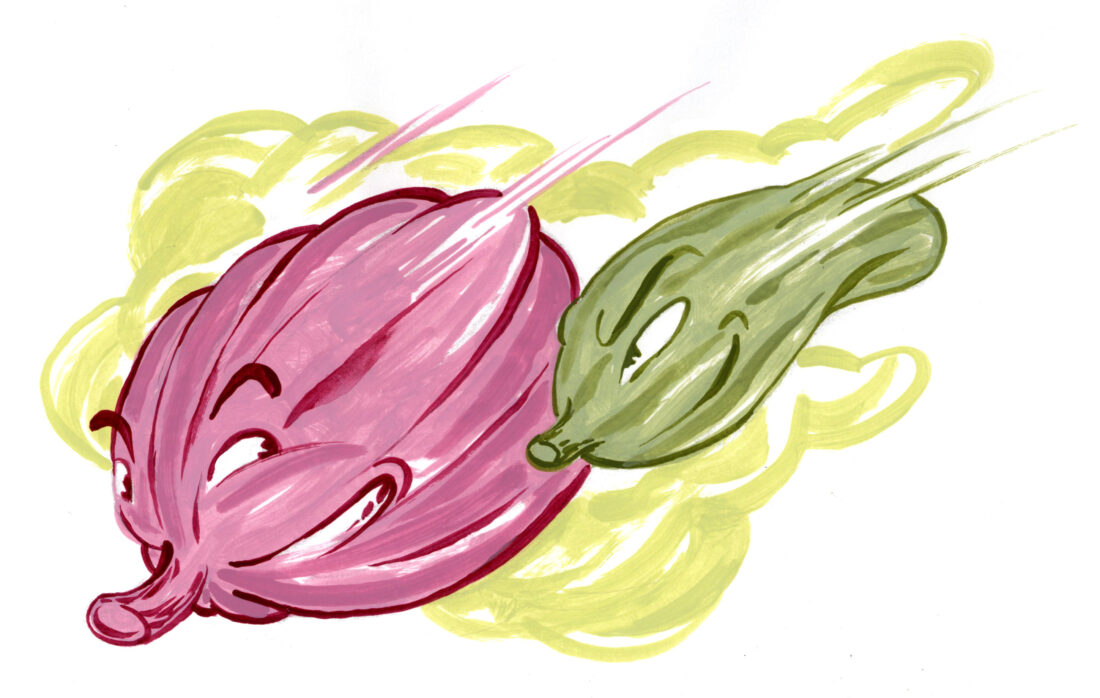 an illustration of flying pumpkins