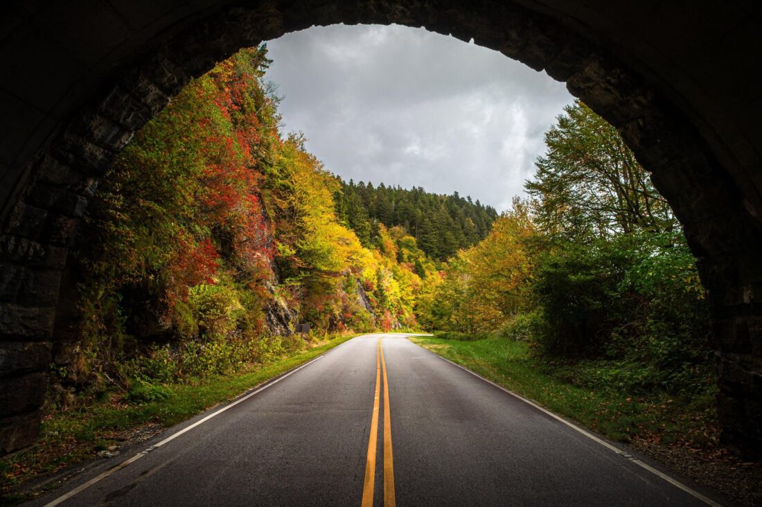 Fall leaves through a tunnel