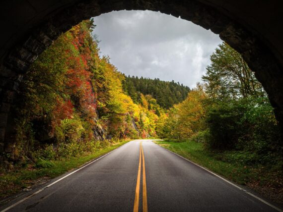 Fall leaves through a tunnel