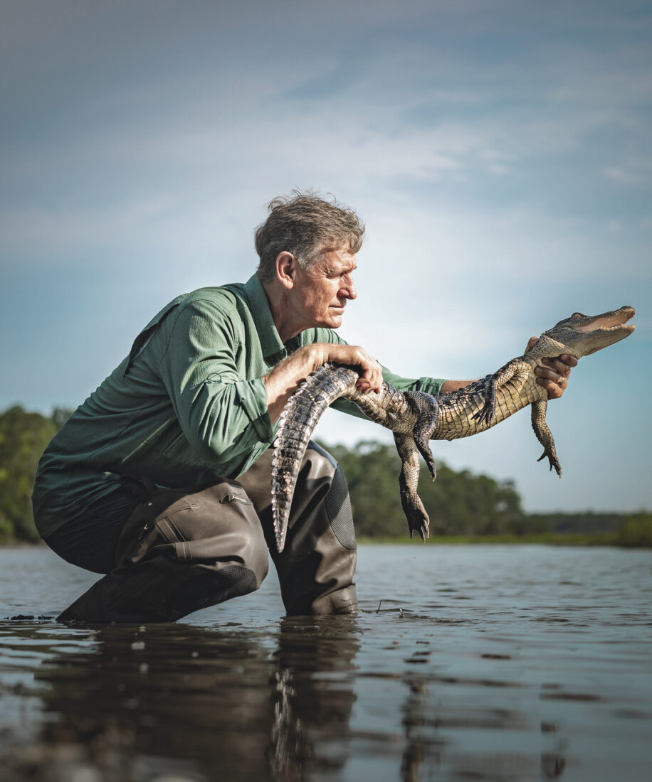 A man holds a small alligator in water