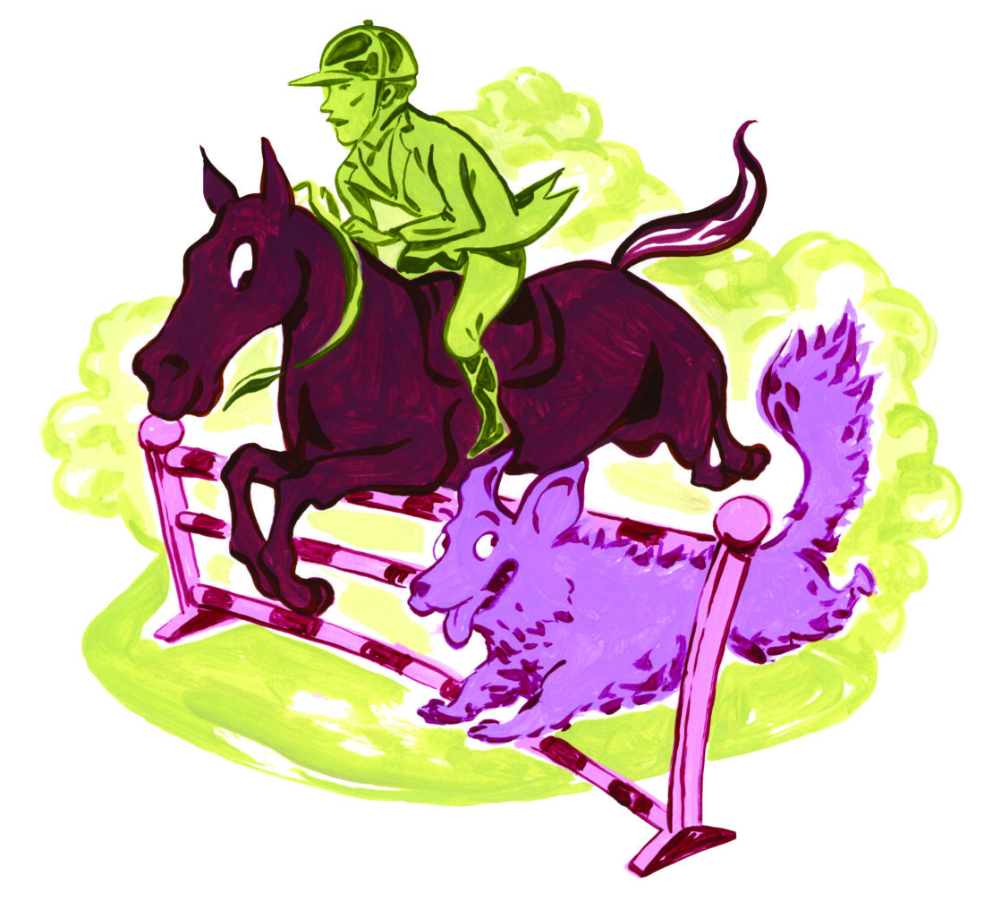 an illustration of an equestrian on horseback jumping a hurdle