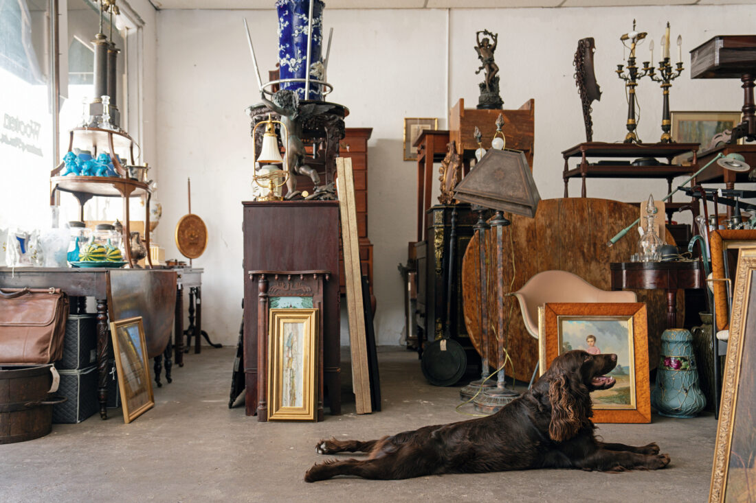 A dog lays in front of antique goods
