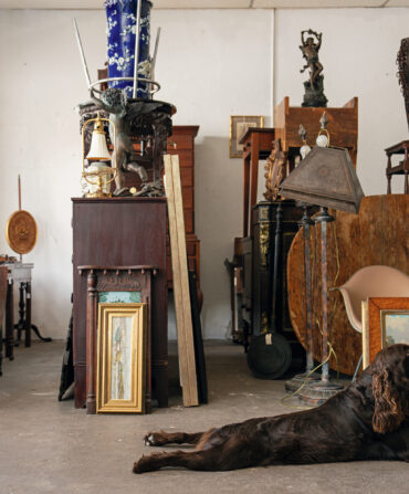 A dog lays in front of antique goods