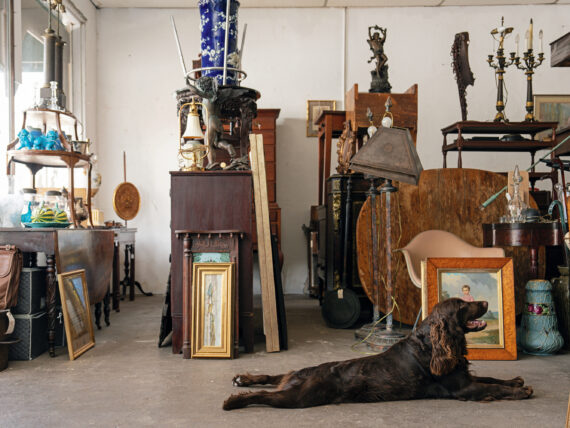 A dog lays in front of antique goods