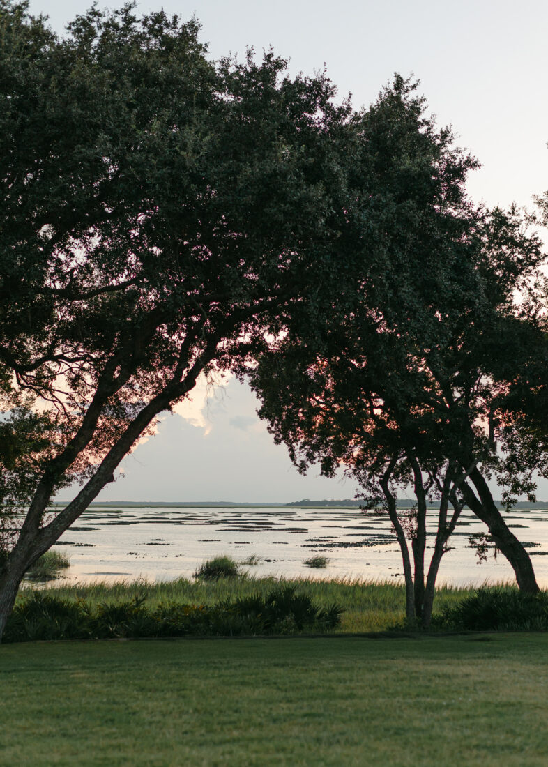 The view from The Preserve at The Amelia River Club overlooking the salt marsh and Intracoastal Waterway. 
&nbsp;
