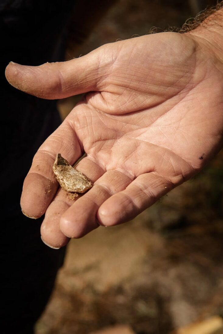 a flattened musket ball