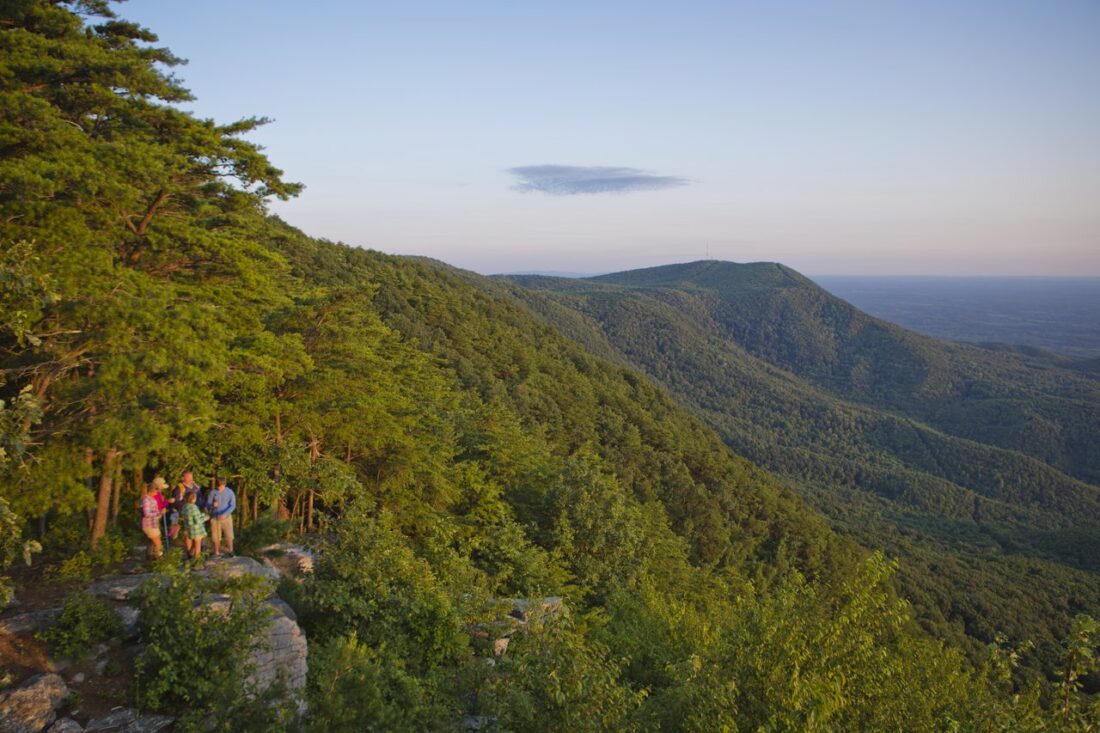 a view of tree-covered mountains