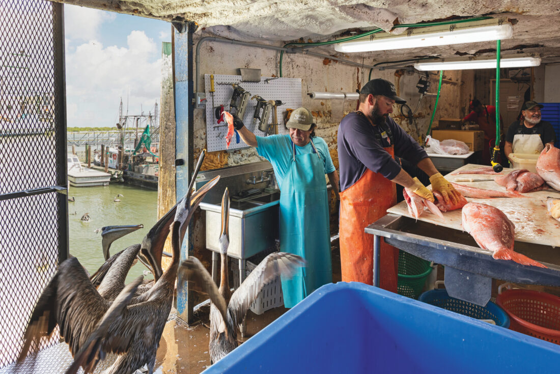 Pelicans stop in for scraps inside a fish market.
