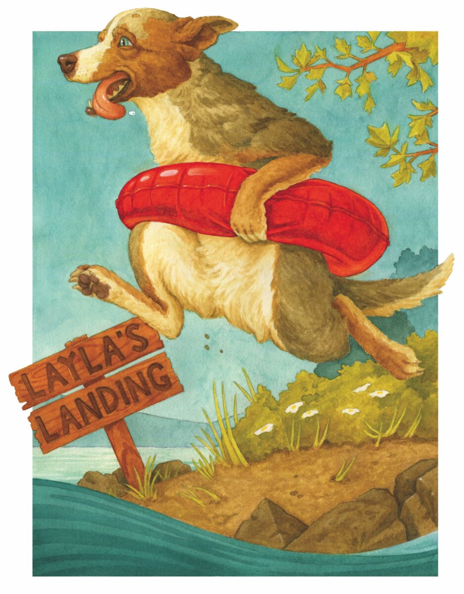 an illustration of a dog with a life buoy jumping into water