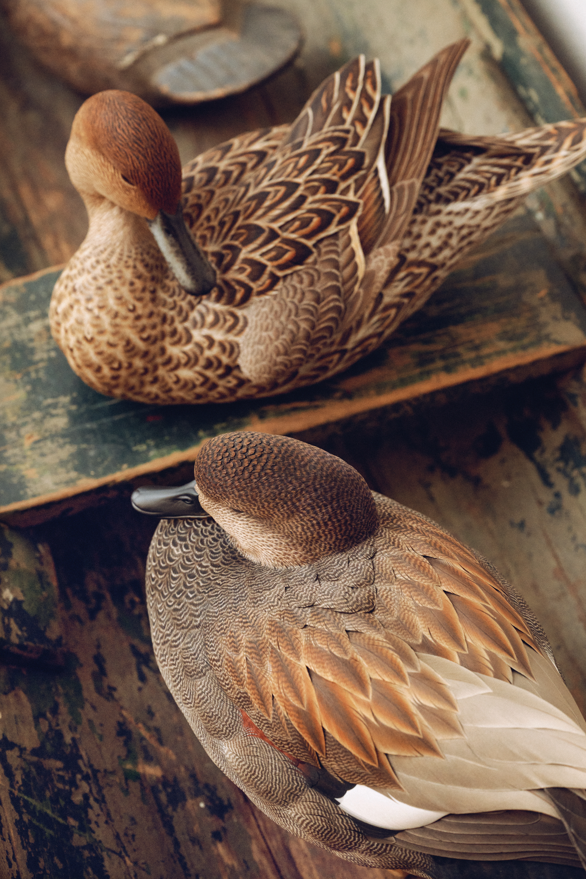 World Champion Decoy Carver Jett Brunet Pushes His Art to New
