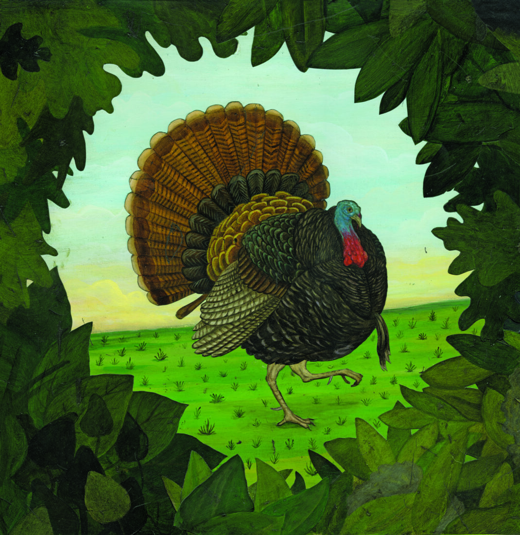 illustration of a turkey