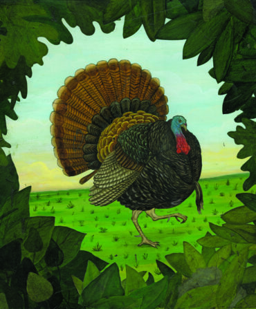 illustration of a turkey