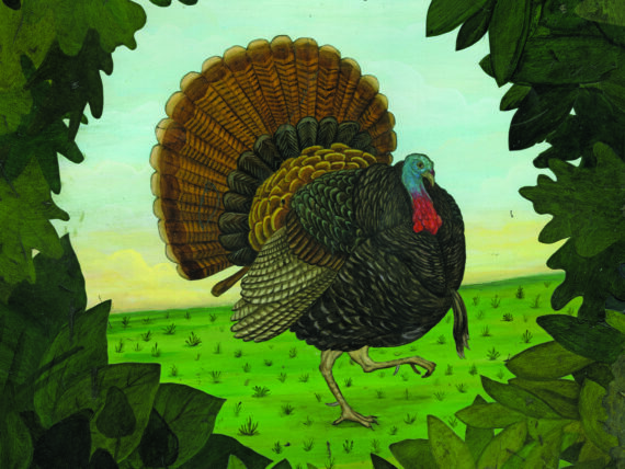 illustration of a turkey