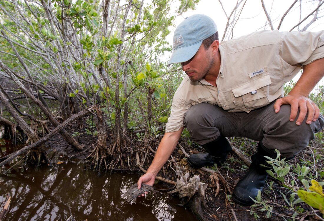a man holding a crocodile