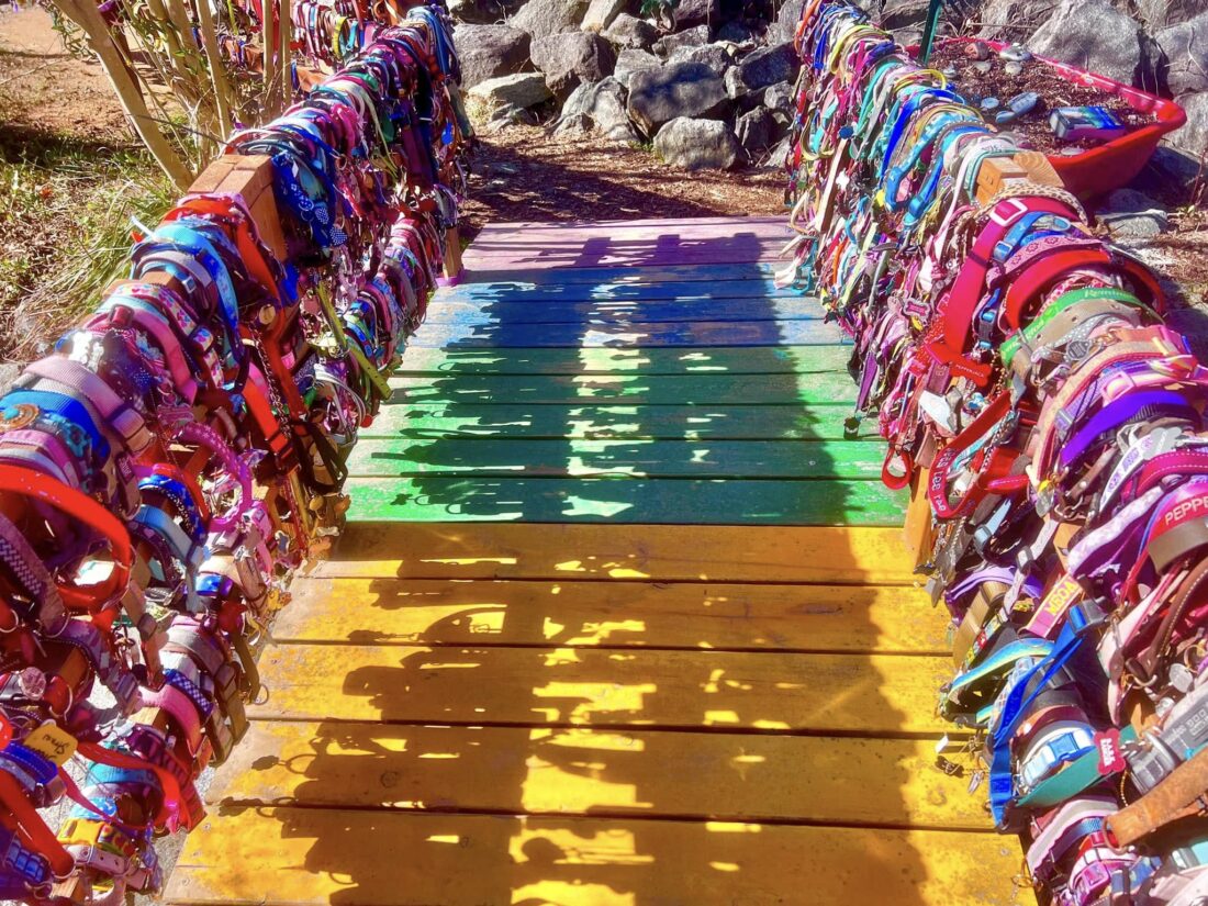 rainbow bridge
