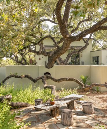 A live oak stretches over a garden