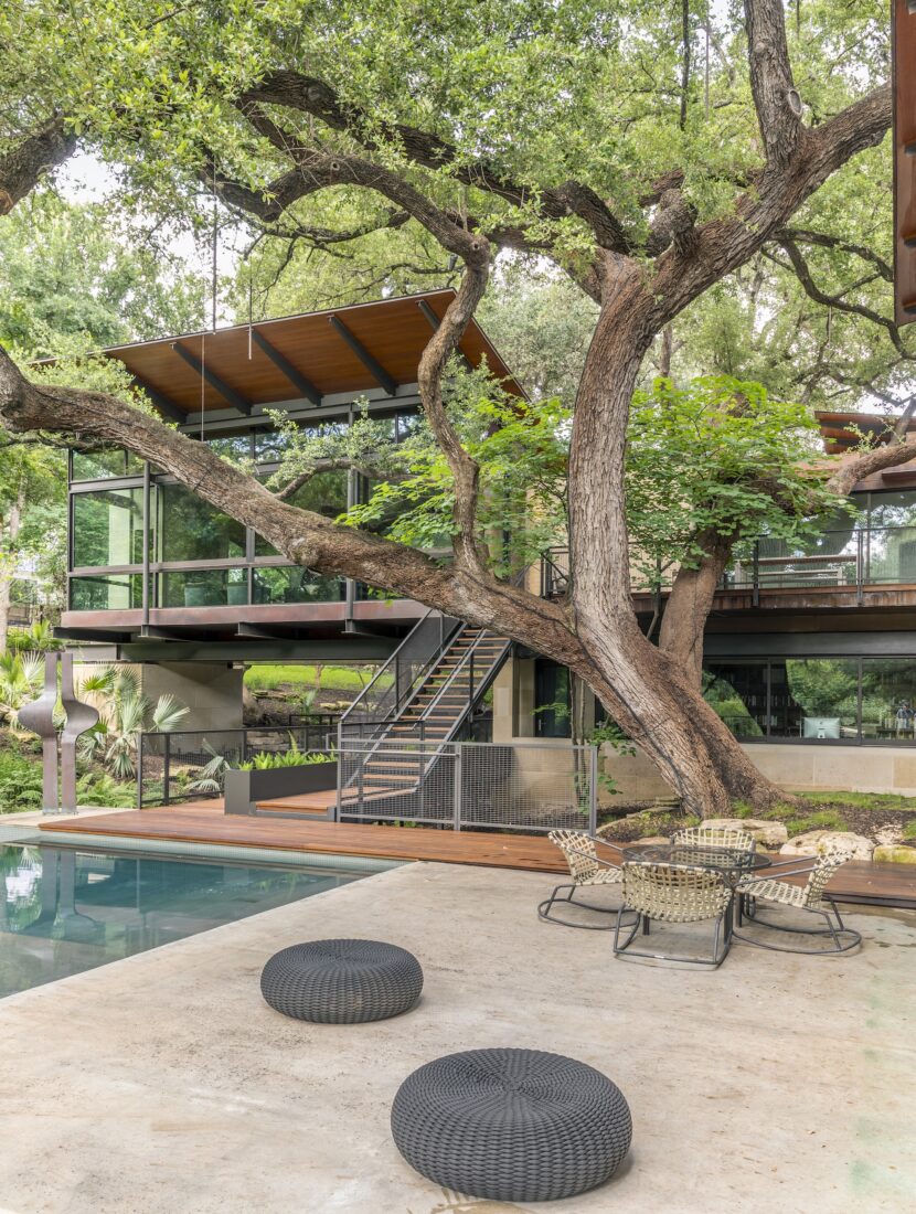 A tree over a pool