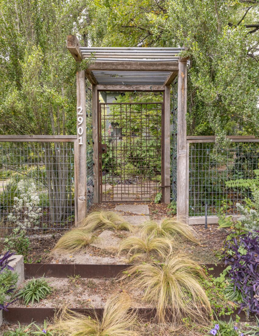 Long grass in a garden in front of a gate