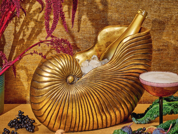 A shell bottle holder with ice