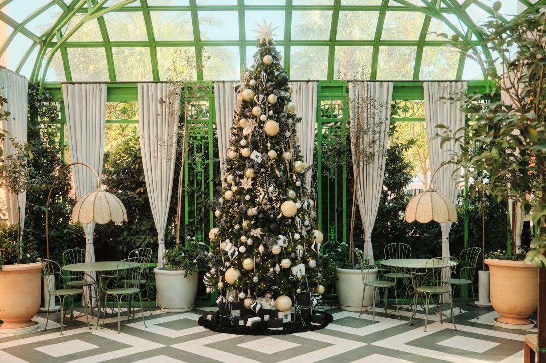 A Christmas tree in a courtyard