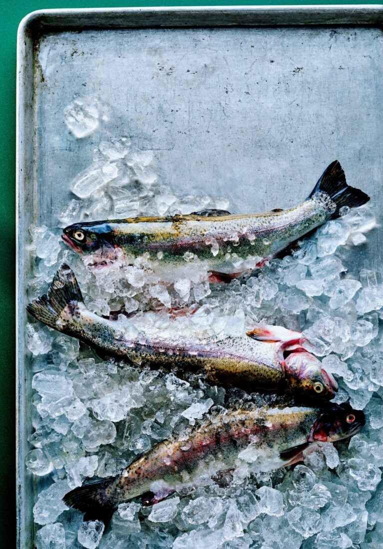 rainbow trout on ice