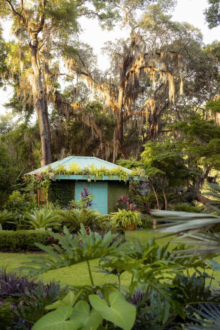 a shed in the garden