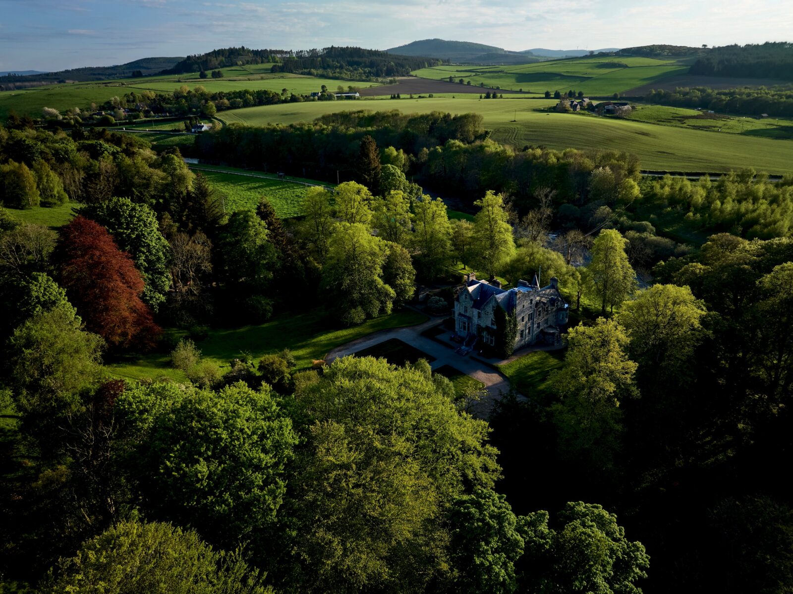 an estate in a forest