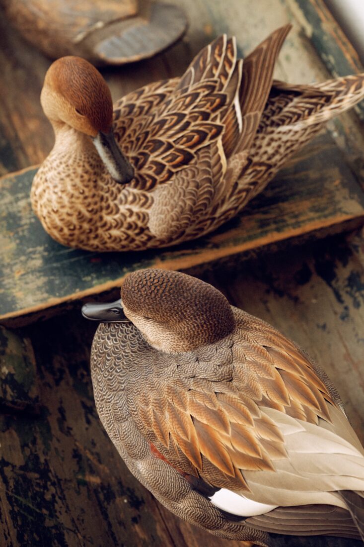 duck decoys
