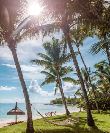 A hammock on a beach between two palms