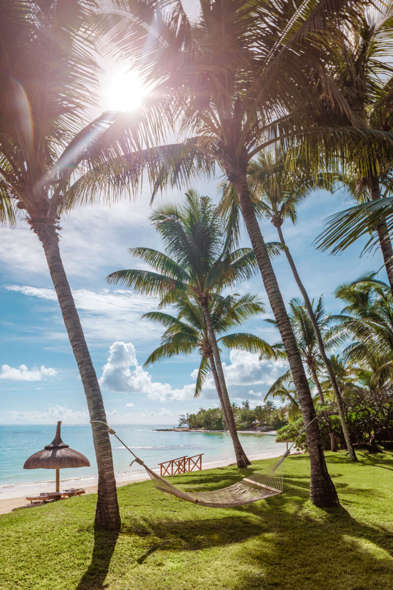 A hammock on a beach between two palms