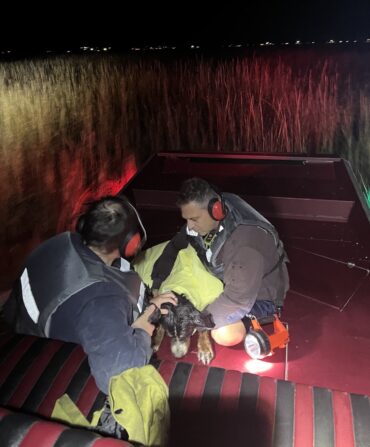 Two firemen hold a dog on a boat in a marsh