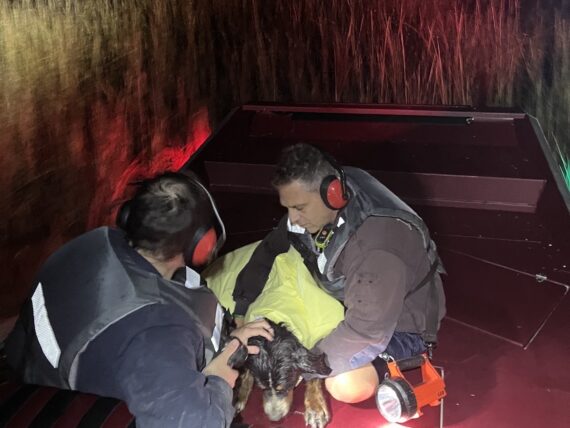 Two firemen hold a dog on a boat in a marsh