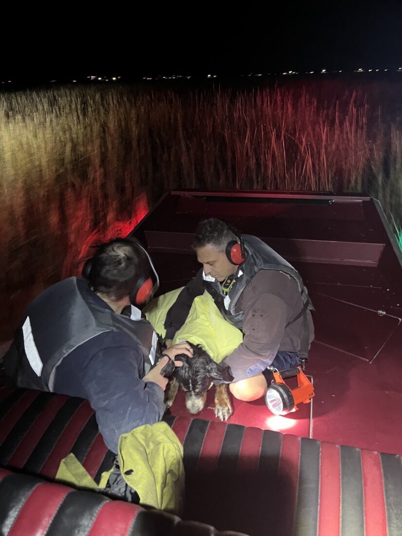 Two firemen hold a dog on a boat in a marsh