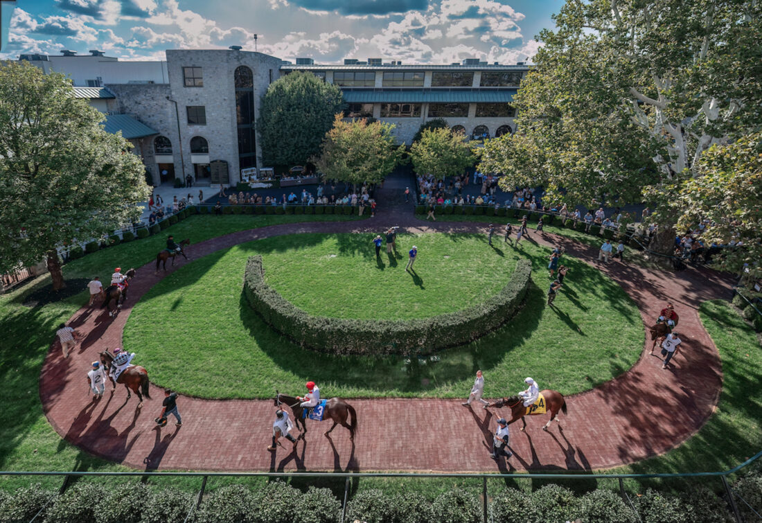Horses circle in a grassy ring