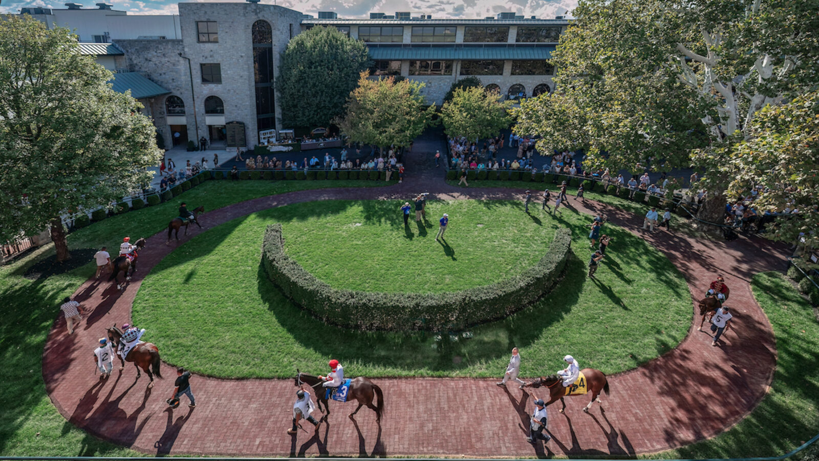 Horses circle in a grassy ring