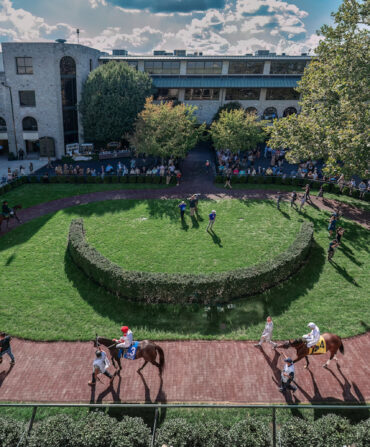 Horses circle in a grassy ring